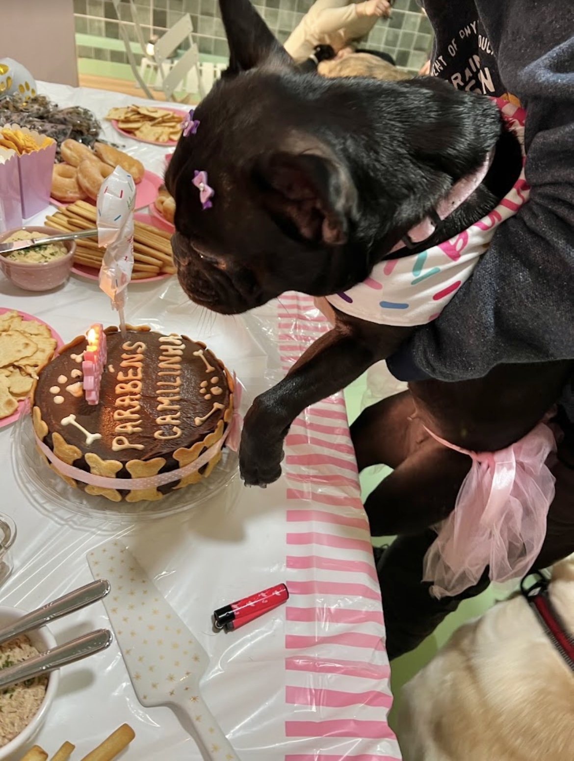 Festas de Aniversário